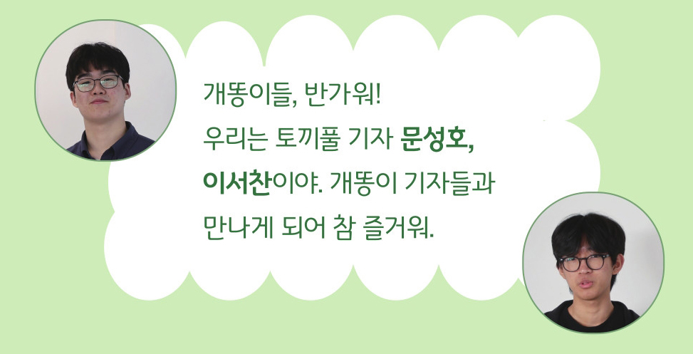 �����̰� ���� ��� - û�ҳ��� ���� ��縦 ���� �����ϴ� <�䳢Ǯ> �Ź� ���ڸ� ������!