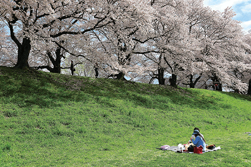 [���� ��߰�] ������ ����(��Դ��桜)