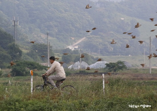 �뷡�ϴ� �η��� ���ϴ� �η�����