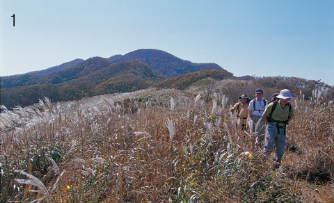 ���� ����ķ����� �Ƹ��ٿ� ���ٱ��� ��ȭ 
