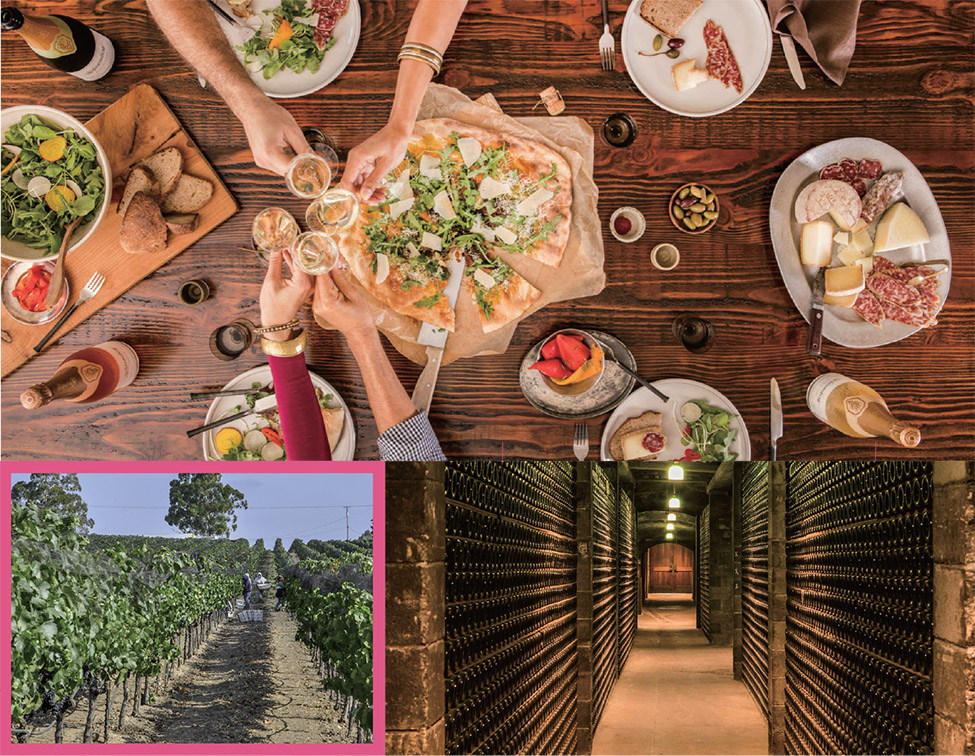 ���� �Ƹ��ٿ��� ���ο� ���